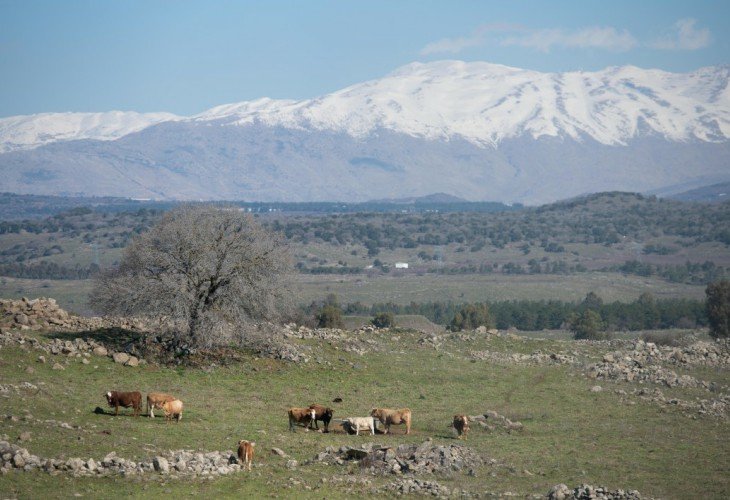 החרמון (צילום: שריה דיאמנט, פלאש 90)