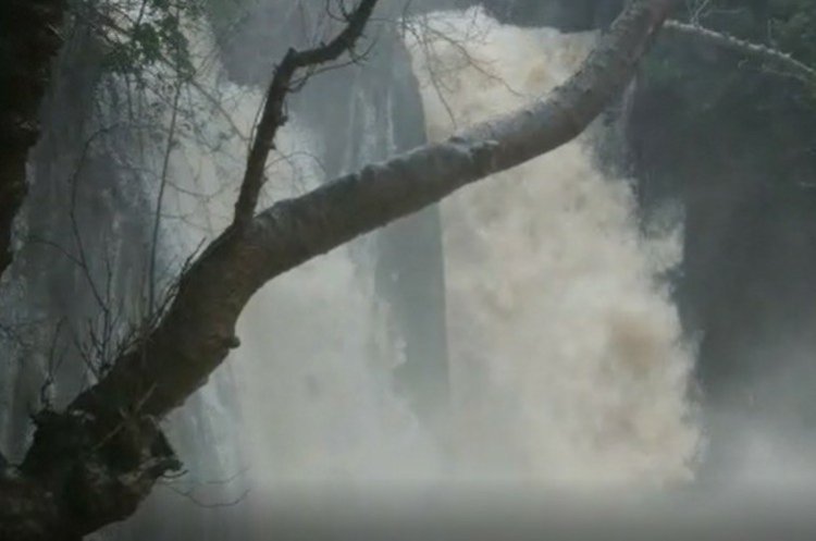 מפל הבניאס (צילום מסך, סרטון ויטאלי גרנדר, רשות הטבע והגנים)
