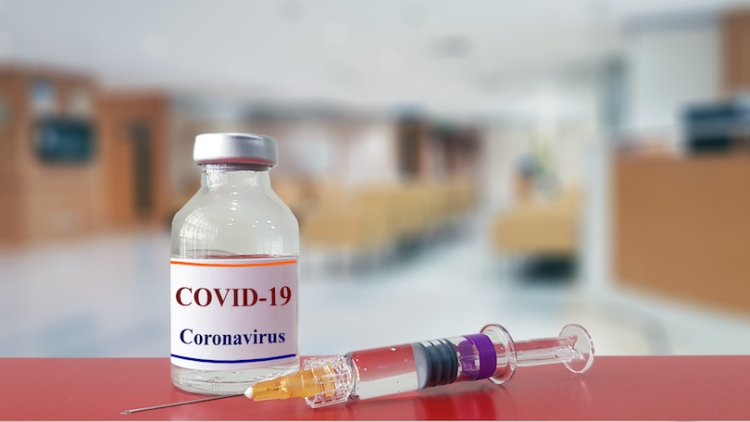 הדמיה של חיסון לקורונה (צילום: שאטרסטוק)