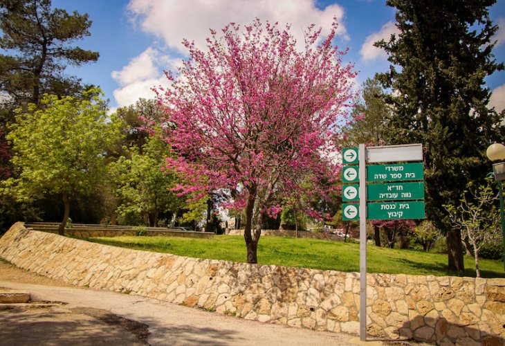 אתר תיירות בכפר עציון (צילום: גרשון אלינסון, פלאש 90)