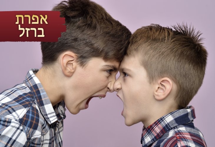 (צילום אילוסטרציה: shutterstock)