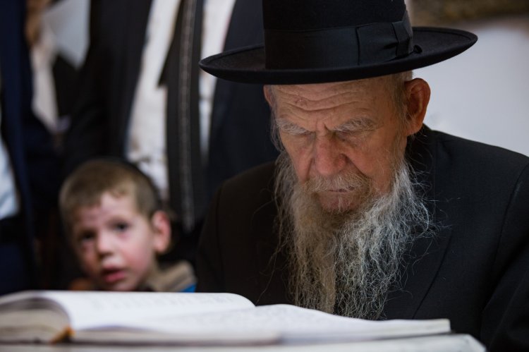 הרב גרשון אדלשטיין (צילום: Flash90 / Aharon Krohn )