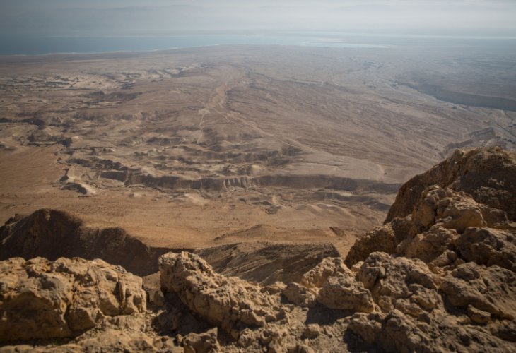 צאלים (צילום: shutterstock)