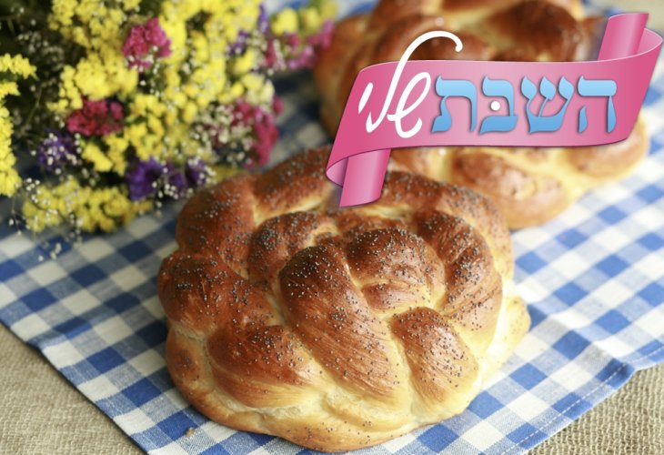 (צילום: shutterstock)