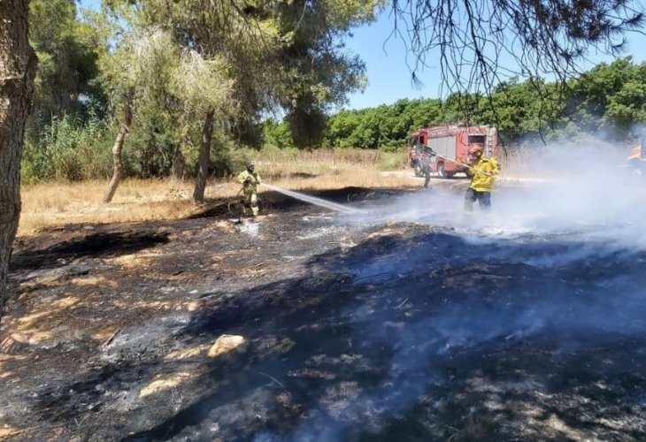 (קרדיט צילום: איציק לוגסי, יערן קק"ל)