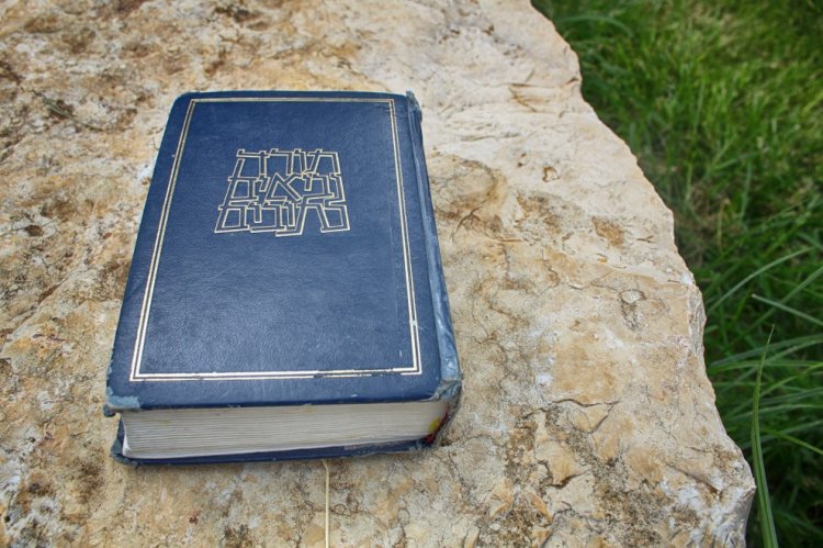 תנ"ך (תמונה: שאטרסטוק)