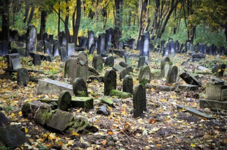 בית קברות יהודי בפולין (צילום: shutterstock)