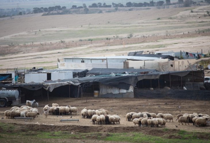 בדואים בנגב, ארכיון (צילום: הדס פרוש, פלאש 90)