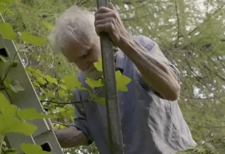 קן סמית’ (קרדיט צילום: BBC)