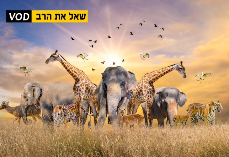 (צילום: shutterstock)