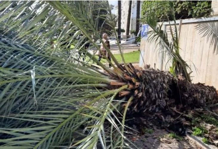  (תמונה: תיעוד מבצעי מד"א)