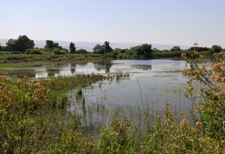 (צילום: יוסי זמיר / פלאש 90)