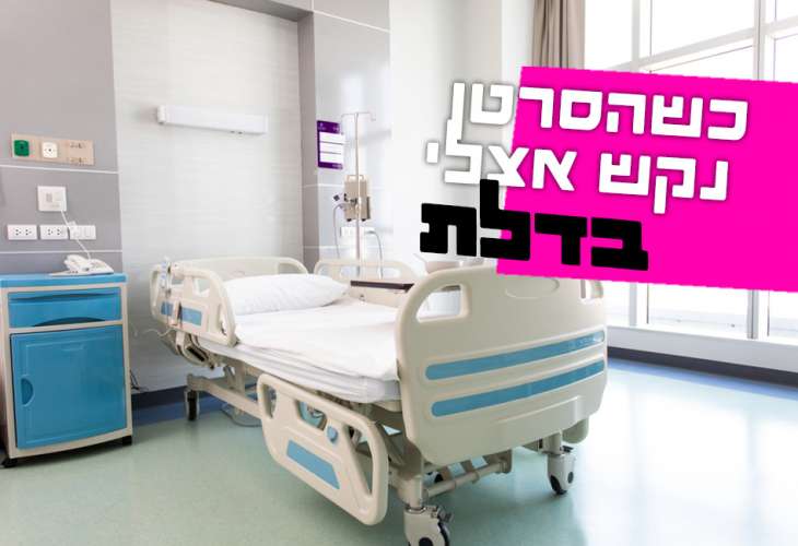 (צילום: shutterstock)