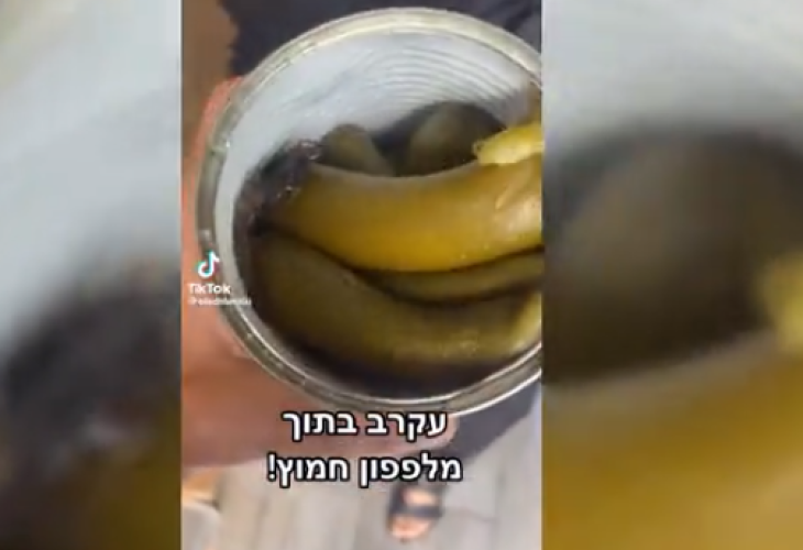 (קופסת המלפפונים בצילום מסך שנלקח מתוך הסרטון)