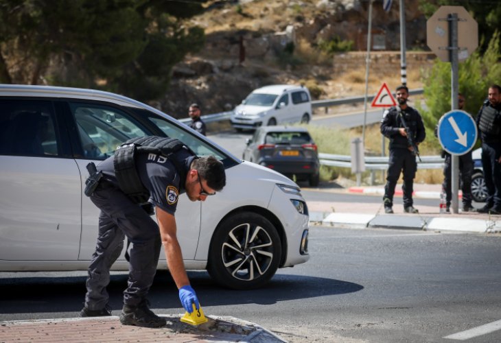 תקוע (צילום: חיים גולדברג / פלאש 90)