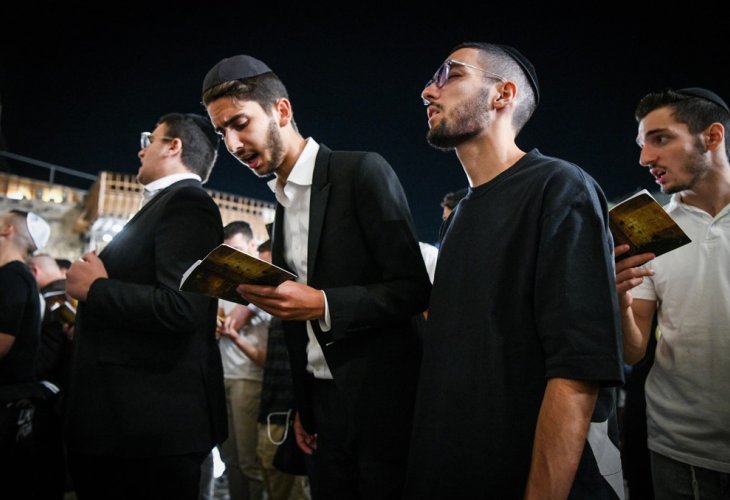 (צילום: Arie Leib Abrams / Flash90)