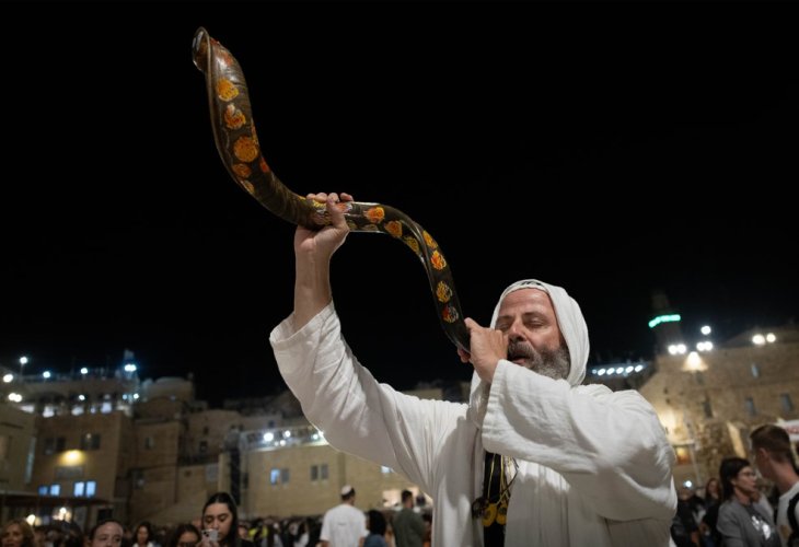 (צילום: חיים גולדברג / פלאש 90)