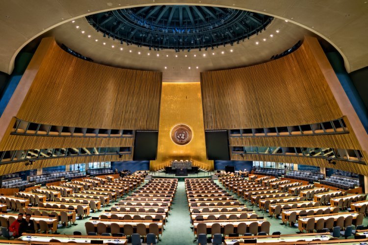 האו"ם ((צילום: shutterstock)