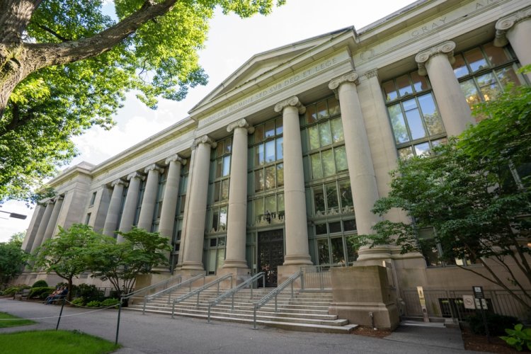 אוניברסיטת הרווארד (צילום: shutterstock)