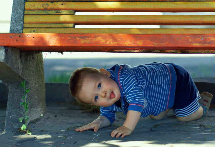 צילום: shutterstock