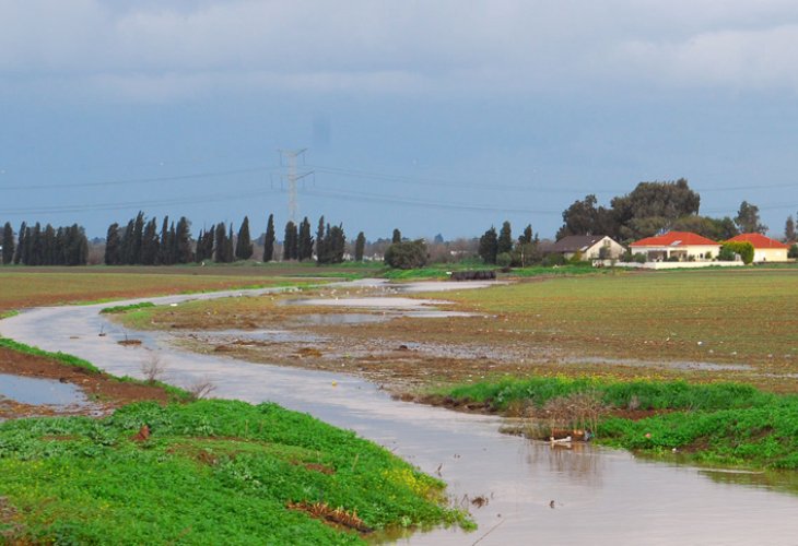 עמק חפר (צילום אילוסטרציה: גיל יערי / פלאש 90)