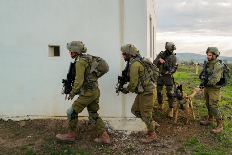 חיילי צה"ל באימון, ארכיון (צילום: Michael Giladi/Flash90)