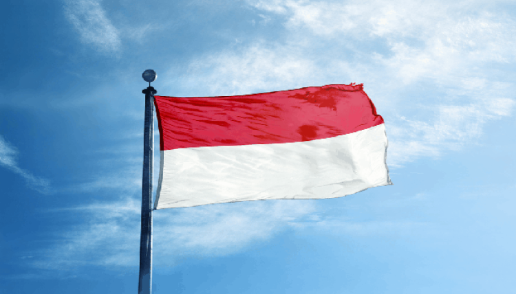 דגל אינדונזיה (צילום: לפי סעיף 27א')