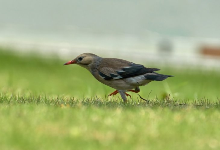 (צילום: shutterstock)