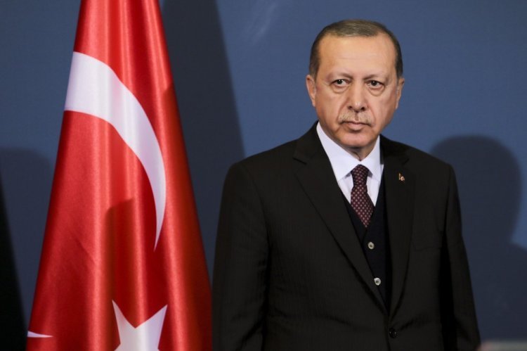 נשיא טורקיה (צילום: shutterstock)