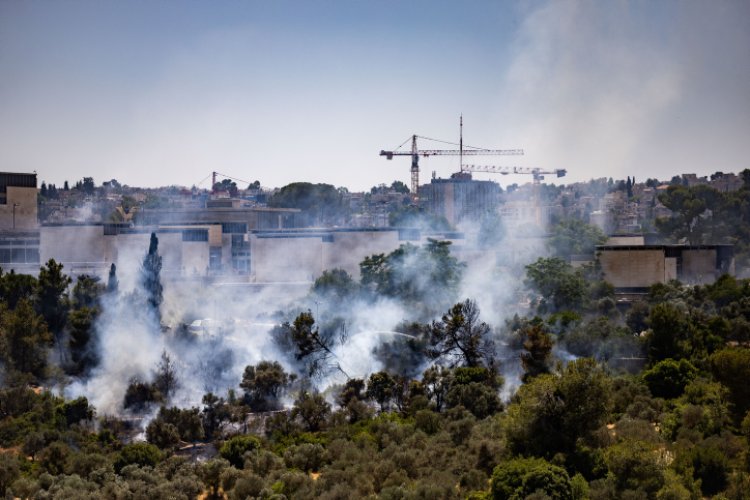השריפה בעמק המצלבה (צילום: Yonatan Sindel/Flash90)