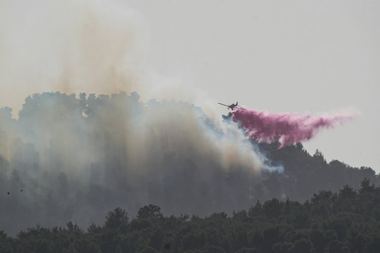 השריפה ביער ביריה (צילום: Ayal Margolin/Flash90)