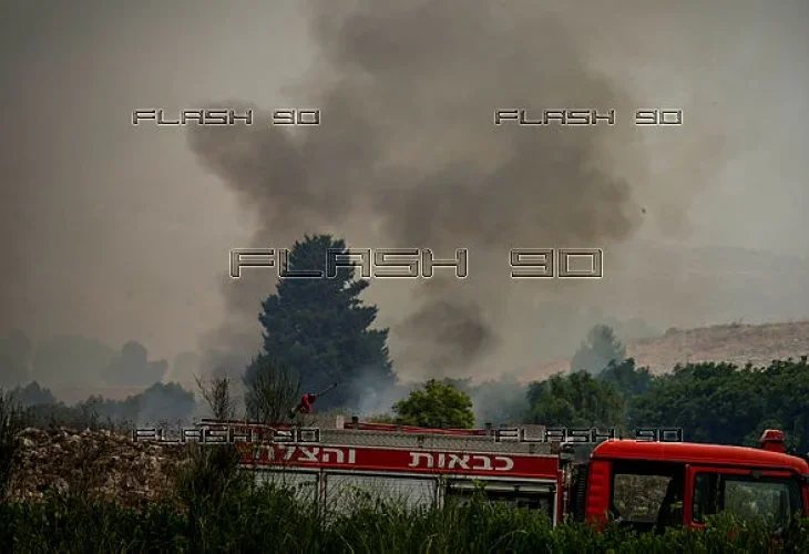 שריפות בצפון, ארכיון (צילום: Michael Giladi/Flash90)