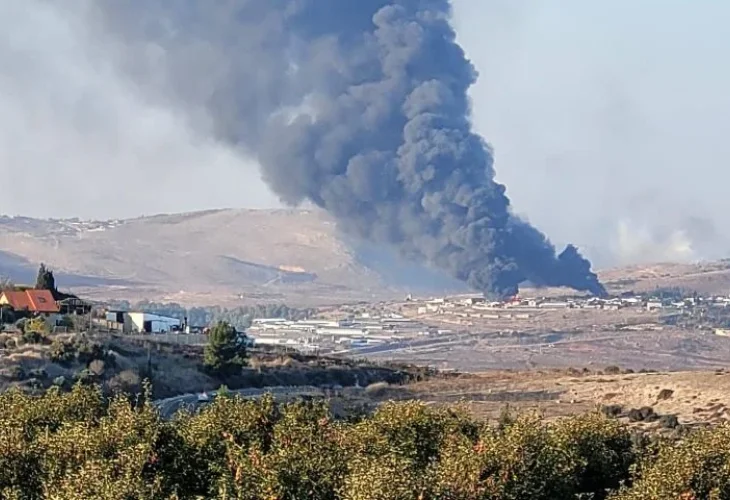 נפילה באביבים (צילום: אתי עזרן/כרם בן זמרה)