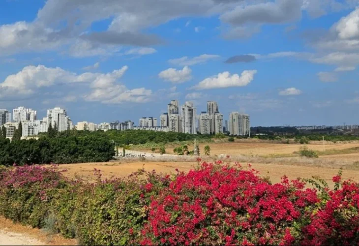צמרות רחובות | יח"צ