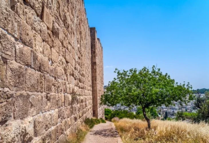 (צילום: shutterstock)