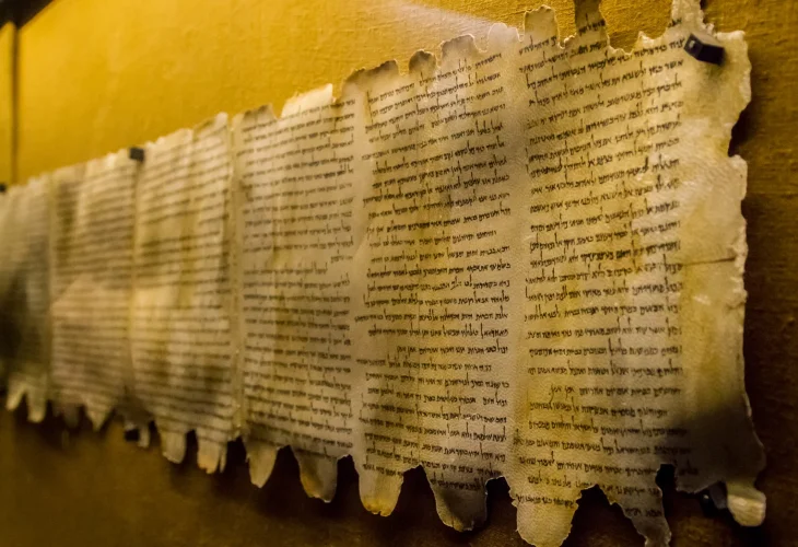 (צילום: shutterstock)