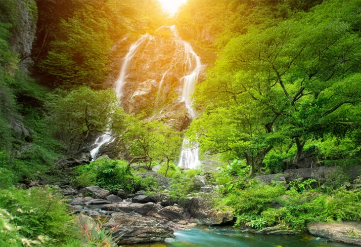 (צילום: shutterstock) (צילום: shutterstock)