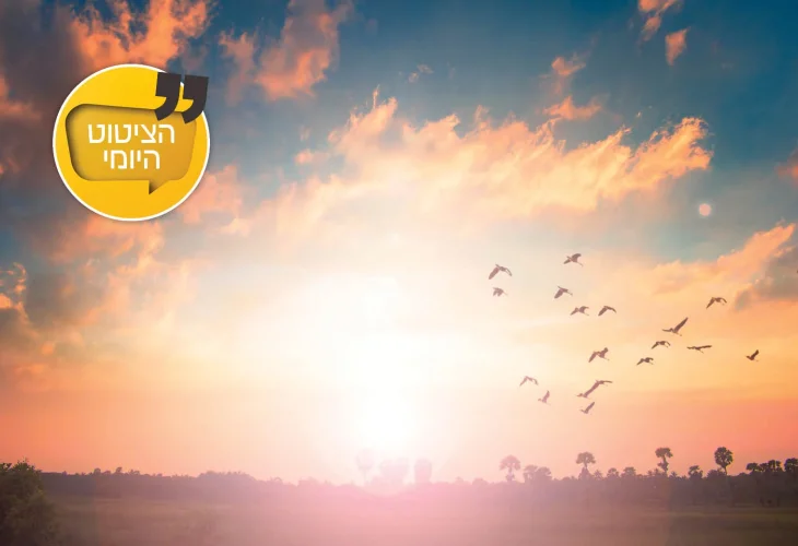 (צילום: shutterstock)