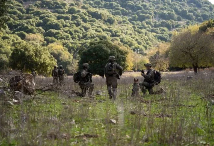 כוחות בלבנון (צילום: דובר צה"ל)