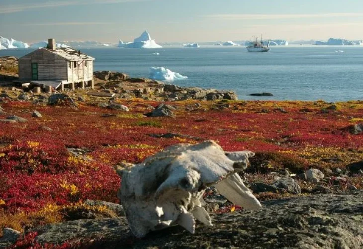 גרינלנד (צילום: לפי סעיף 27א')