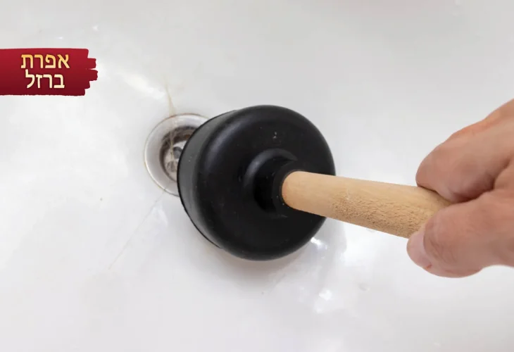 (צילום: shutterstock)