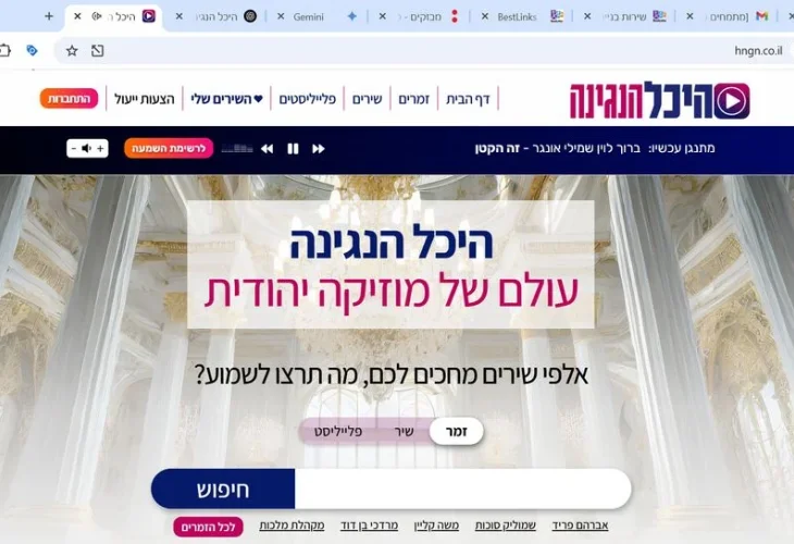 היכל הנגינה | יח"צ