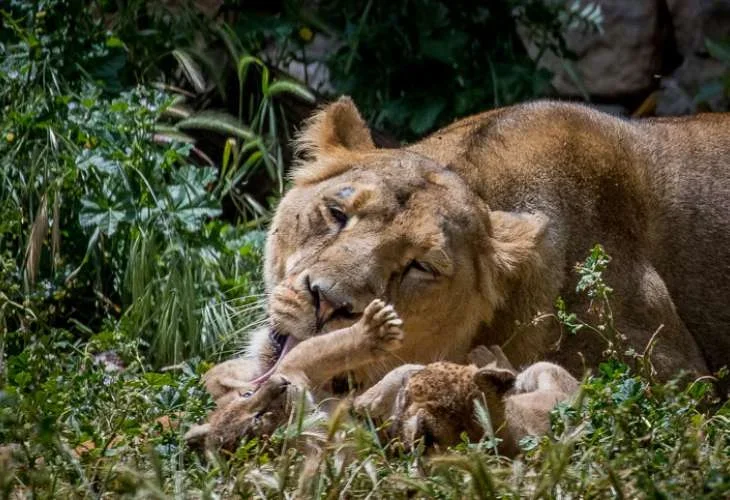 (צילום אילוסטרציה: יונתן סינדל / פלאש 90)