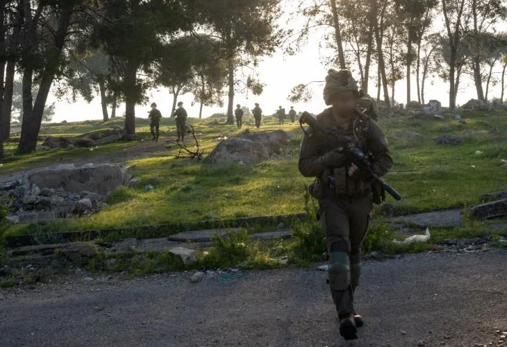 פעילות ביו"ש, ארכיון (צילום: דובר צה"ל)