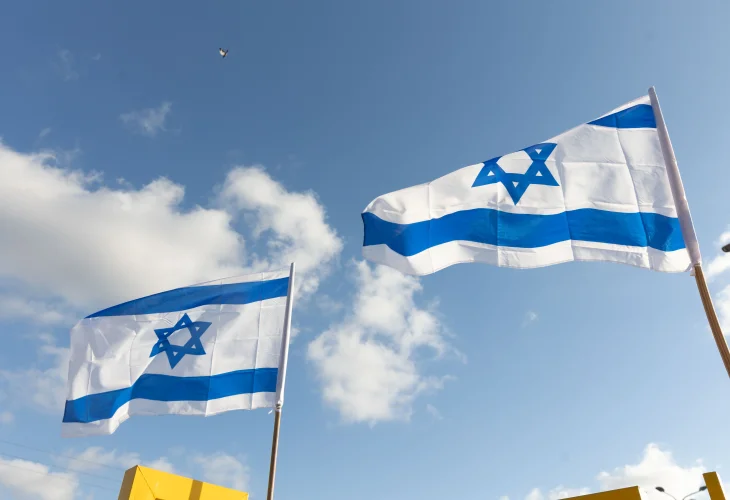 דגלי ישראל ביום העצמאות (צילום: יוסי אלוני, פלאש90) דגלי ישראל ביום העצמאות (צילום: יוסי אלוני, פלאש90)