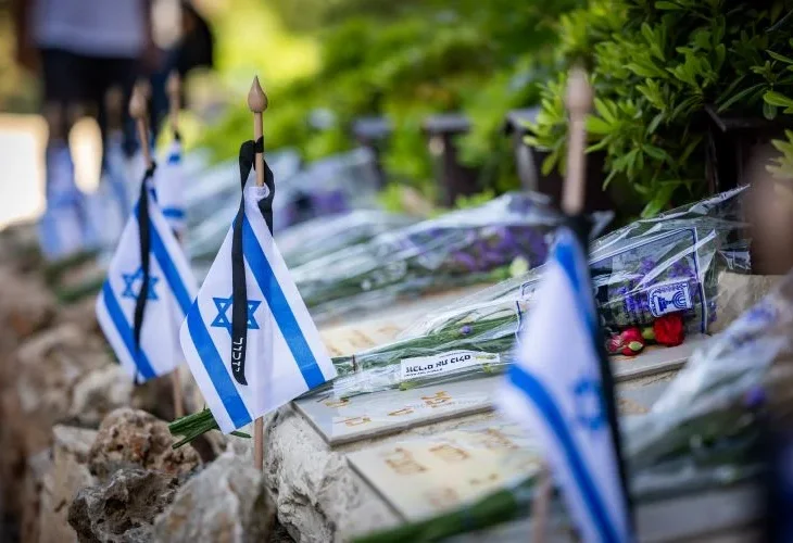 דגלים על קברות הנופלים (צילום: חיים גולדברג, פלאש90)