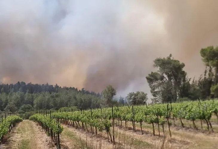 השריפה ליד נווה שלום (צילום: יערני קק"ל)