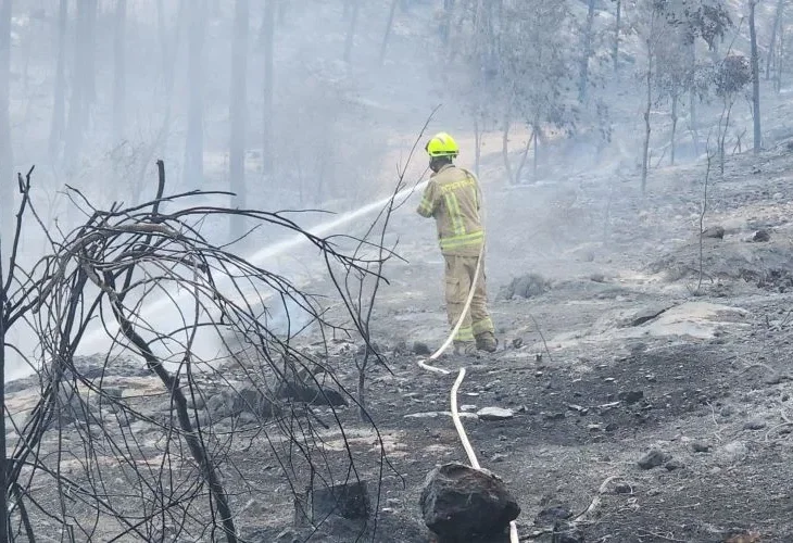 פעולות הכיבוי באחד המוקדים (צילום: כיבוי אש מחוז ירושלים)