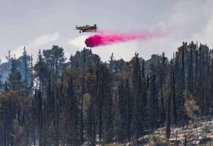 כיבוי השריפות בשבוע שעבר (צילום: חיים גולדברג, פלאש90)