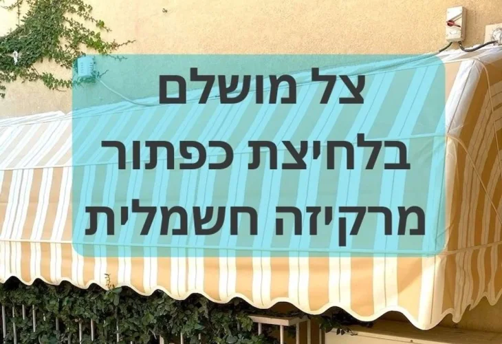 מרקיזה חשמלית | canva